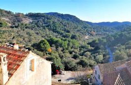 Agriculture & Holiday house Lasko - Photo 24