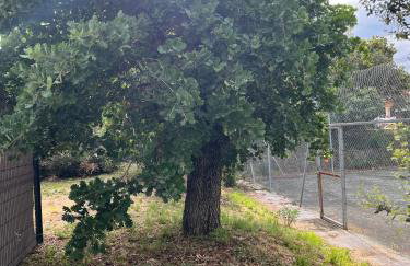 Villa CarpeDiem Cévennes - piscine & terrain tennis - Foto 78