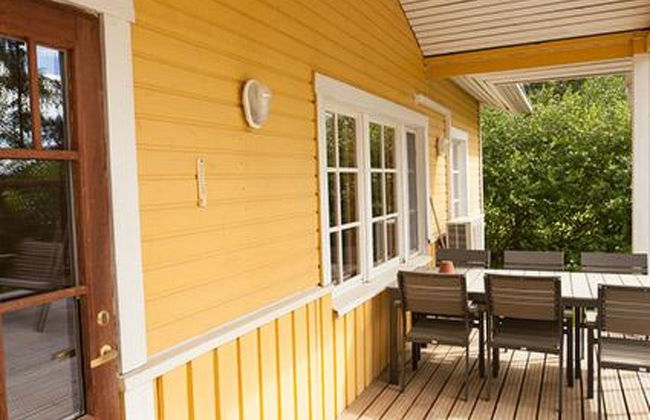 Keltavuokko - Foto 5