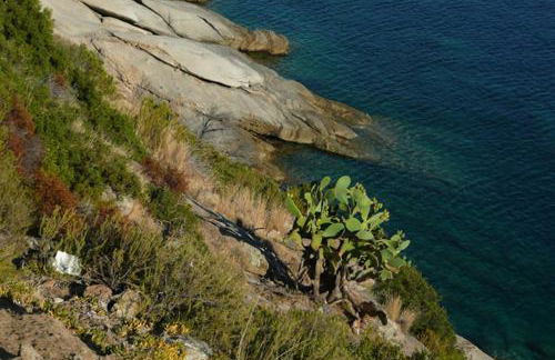 Casa Pineta - Foto 27