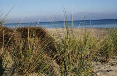 Reiterhof Groß Stubben - Foto 14