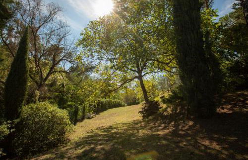 Monteaperto - Foto 22