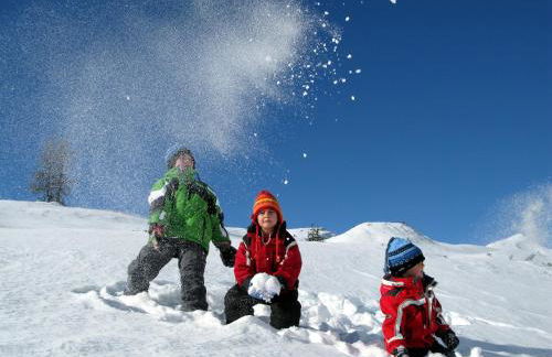 Alpine Chalet Sauter - Photo 73