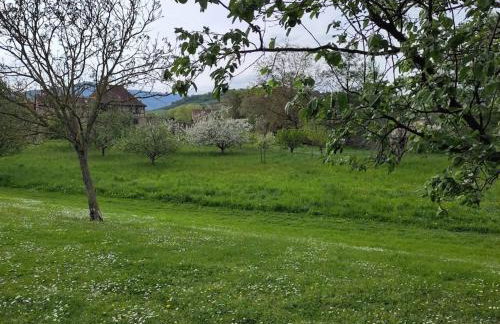 Gite spacieux et chaleureux 8p, route des vins - Foto 6