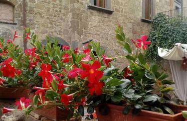 Il Vento e la Ginestra - Foto 56