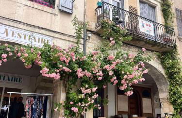 No 10 Vic Fezensac - Photo 24