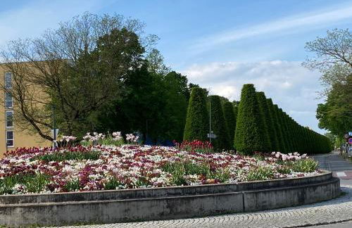 Appartementhof Stadler - Foto 42