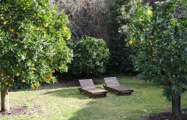 Villa Vinarte Elegant Home 2 Pools Tennis spa Winery Exclusively for you - Foto 68