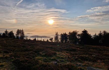 Badischer Neubau-Ruhe-Kunst-Natur - Foto 31