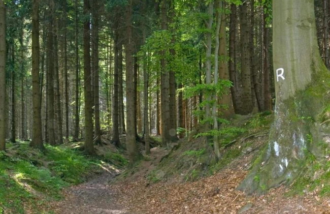 Ferienhaus in Altenfeld Thuringen mit Garten - Foto 126