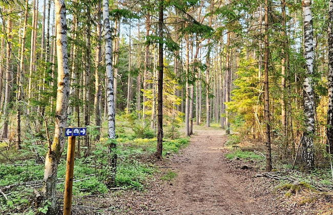 6 Person Holiday Home in Skjaerhalden - Foto 16