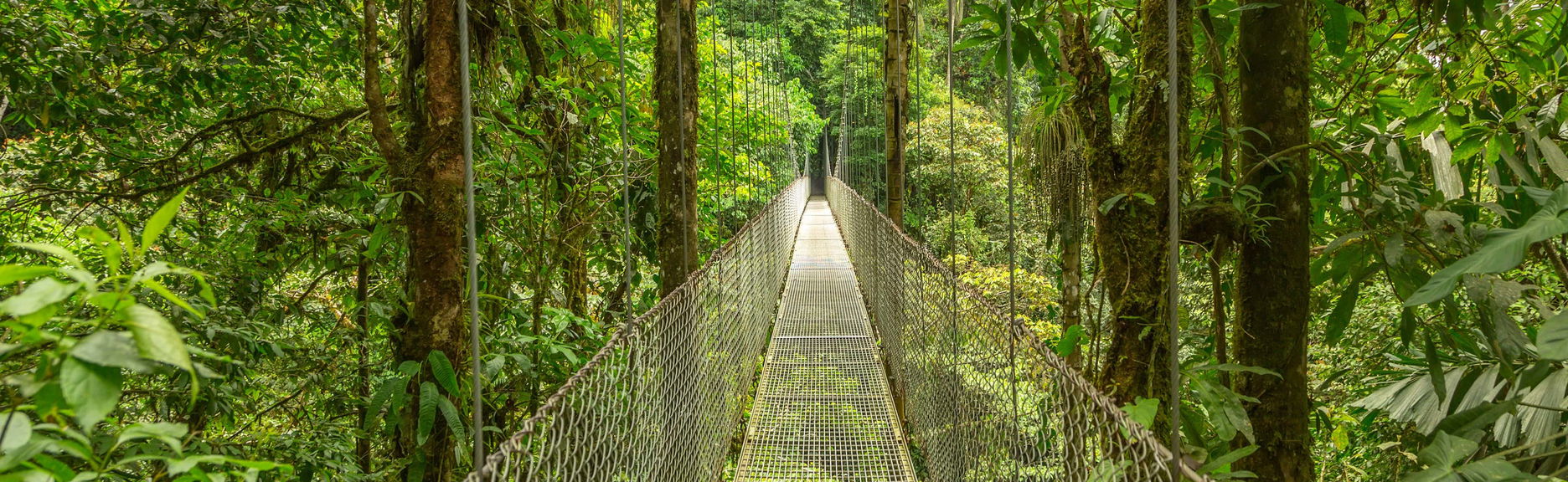 Excursão ao Sky Adventures Monteverde Park