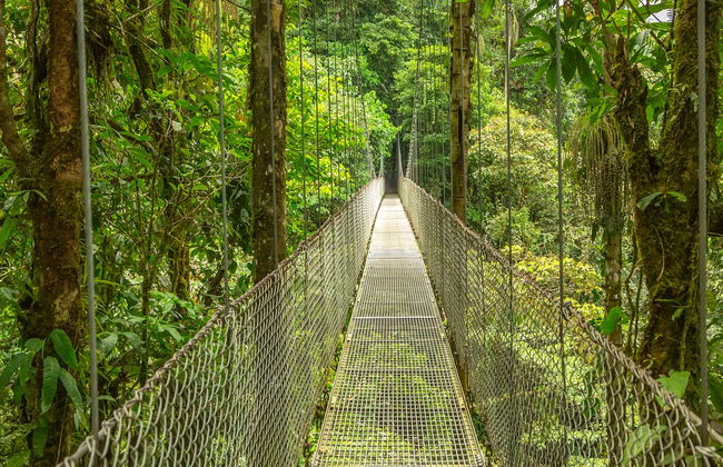 Sky Adventures Monteverde Park Day Trip - Foto 1