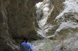 Alojamientos Rurales Cortijo Las Golondrinas - Foto 33