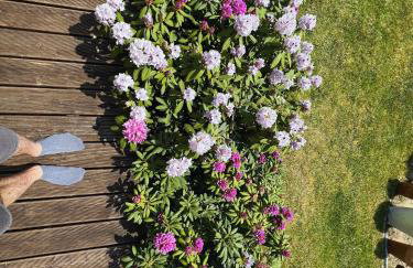 Dom letni Słoneczny Taras - Foto 14