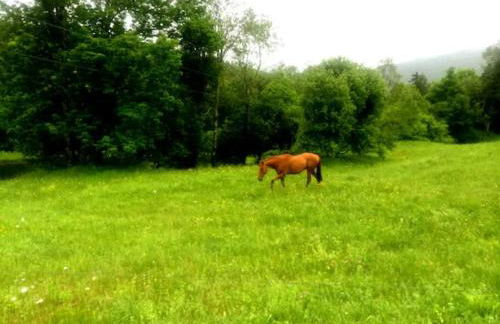 The Apartment at Sky Hollow - Foto 38