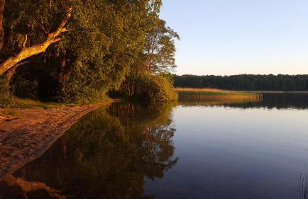 Brzozowa Polana - Foto 53