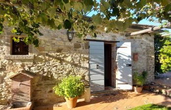 Agriturismo La Scarpaia - Foto 7