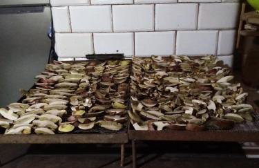 Chata u Żochów - Foto 59