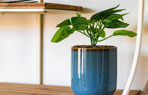 Mira Sunshine Suite - Foto 32