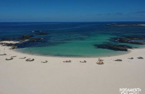 Pensamiento Feliz - Foto 33