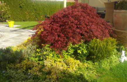 Fewo An der Mühlenbachaue - Foto 21