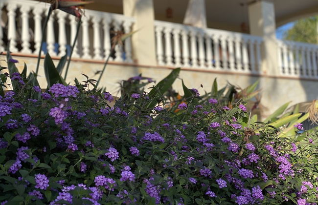 La Perla de Torrenueva - Photo 73