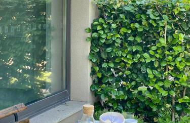 Bosque da Harmonia - Foto 6