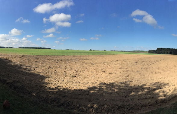 Ferienhaus Mirow-Lärz - Kamin Wald Ruhe - Foto 39