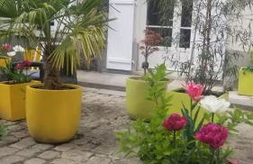 2 chambres et une terrasse à Paris! - Foto 13