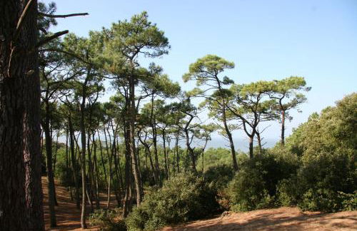 Villa familiale à 300m de la plage de L’Océan - Foto 33