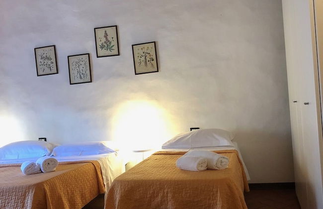 Vellutini Number One - Foto 1