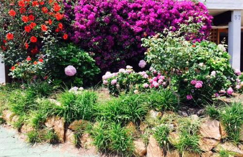 Cosy apartment with fabulous SEA VIEWS 70's style - Foto 11