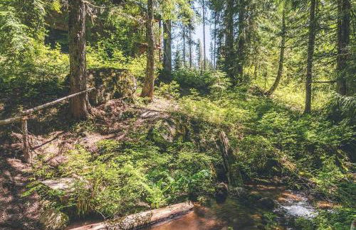 Marshall Cabin - Meredith Lodging - Foto 48