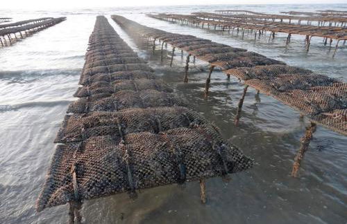 BEL APPARTEMENT CENTRE VEULES LES ROSES 1 CHAMBRE MER 300 M - Foto 19