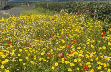 Branch cottage - Foto 3