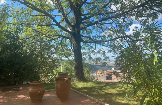 Gemmano's Villa With Pool and Vineyard - Foto 36