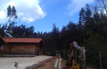 Cozy studio in Figueiró dos Vinhos 56 m² with shared pool - Foto 8