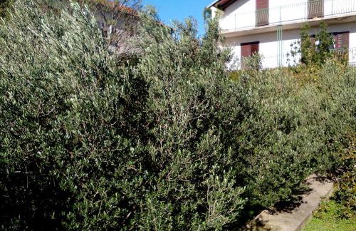 Holiday Home Oliva - Foto 20