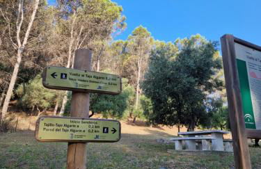 El Pitijopo - Foto 37