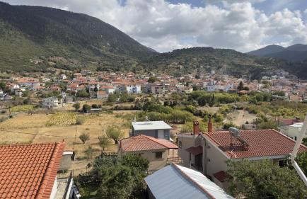 Πέτρινο - Foto 63