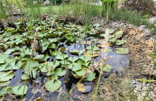 Appartement mit eigenem Zugang in Pattensen Mitte-Nord - Foto 13
