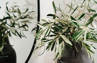 Vardians Villas & Suites - Foto 58