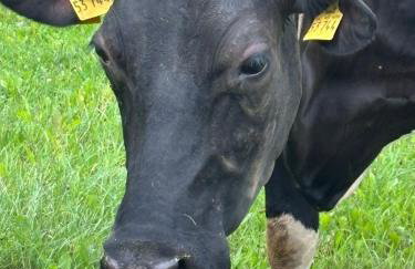 Heiderast Wipperau - Photo 33