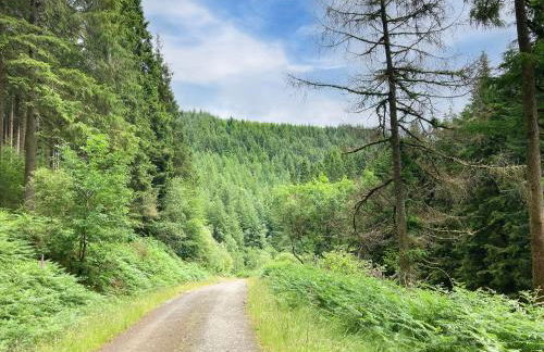 Coedmor Cottages - Foto 70