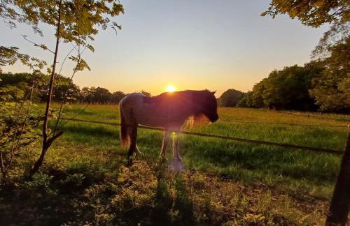 Ferienwohnung in Roetgen am RAVel-Radweg Hike & Bike & Business - Foto 14