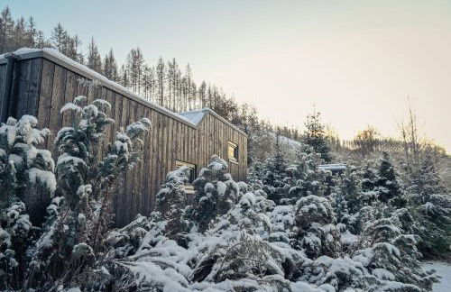 Tiny House Nature 12 - Green Tiny Village Harz - Foto 7