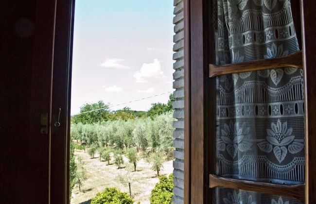 Agriturismo Terrasabina - Foto 18