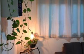 Chácara agradável com piscina - Foto 17