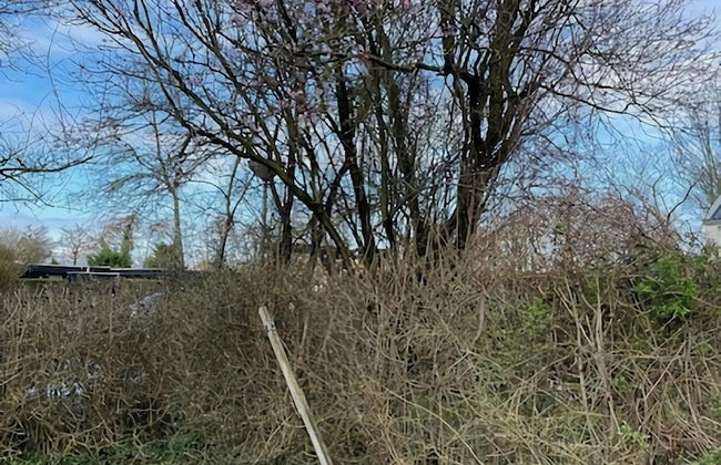 Holiday Home Warmenhuizen Near Dunes - Foto 35